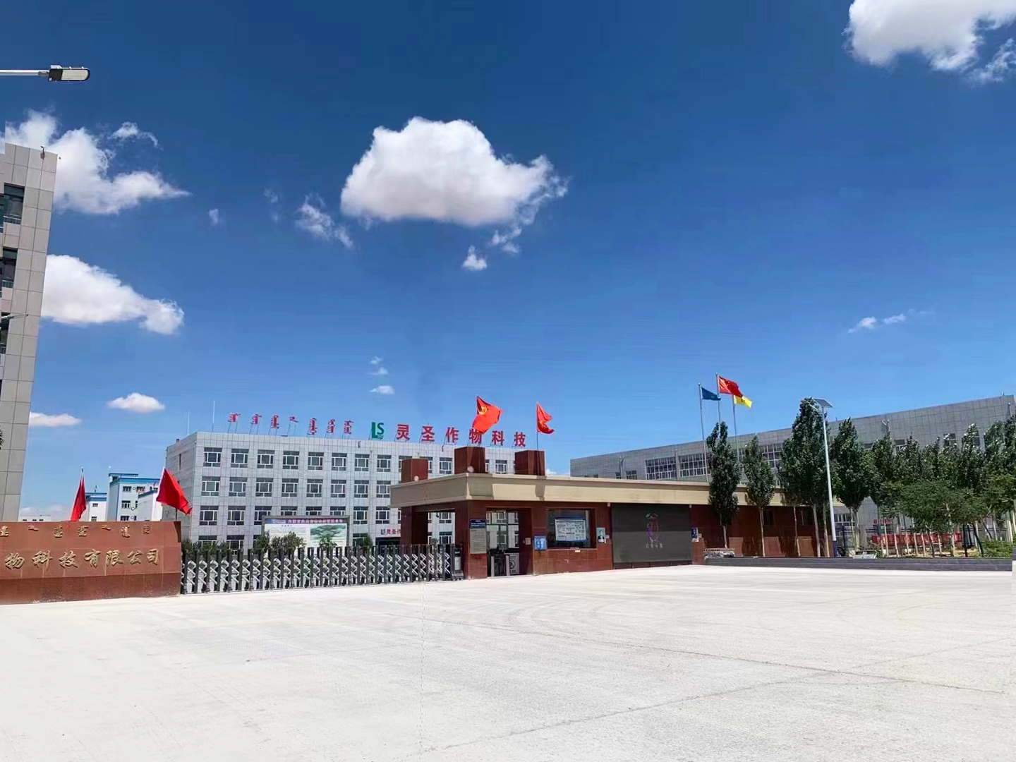 工程案例 | 内蒙古灵圣作物科技有限公司年产11.7万吨精细化学品项目